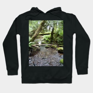 Fox Creek, Rainier, Oregon Hoodie